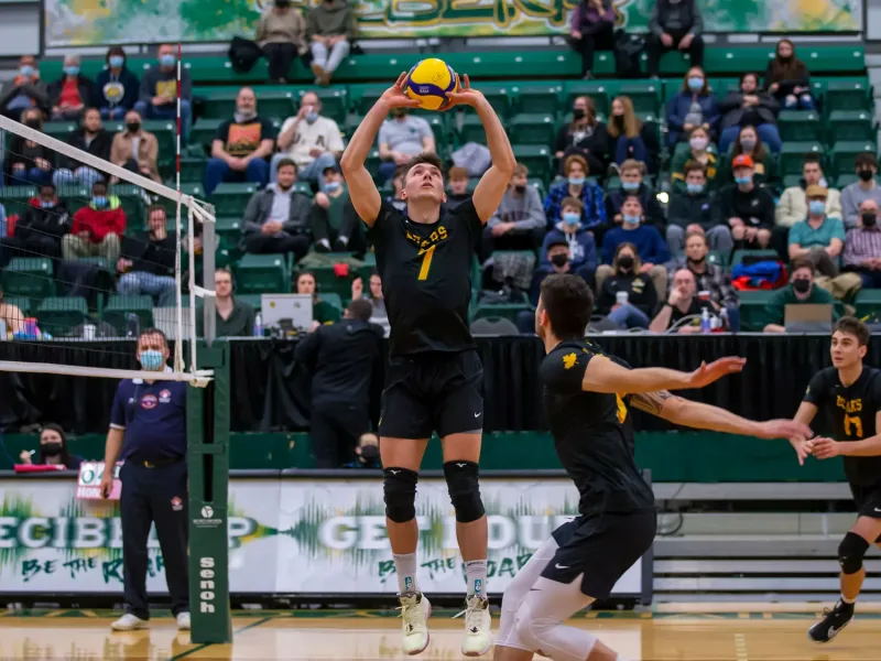 Max Elgert setting for the University of Alberta Golden Bears